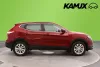 Nissan Qashqai DIG-T 115 Acenta 2WD 6M/T E6 Safety Pack / Vakionopeudensäädin / Lohkolämmitin + Pistoke / 2x / Thumbnail 2